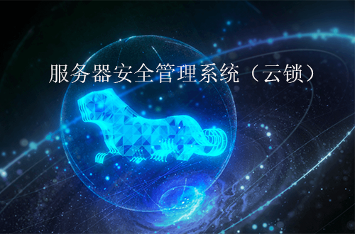 奇安信服務器安全管理系統（云鎖）